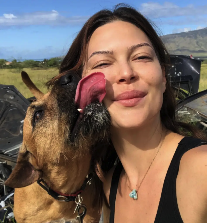 dog walker dog sitter jenny sits with dog